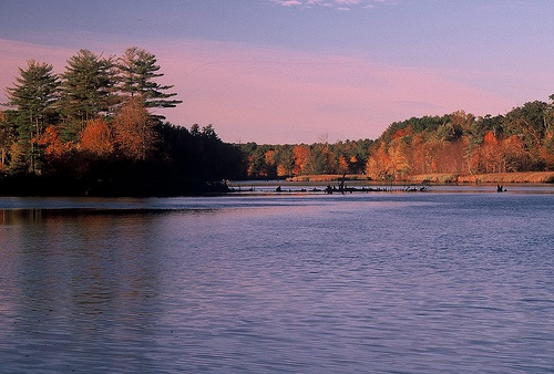 Nashua River 