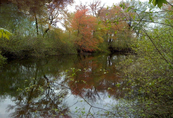 Neponset River 