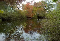 Neponset River