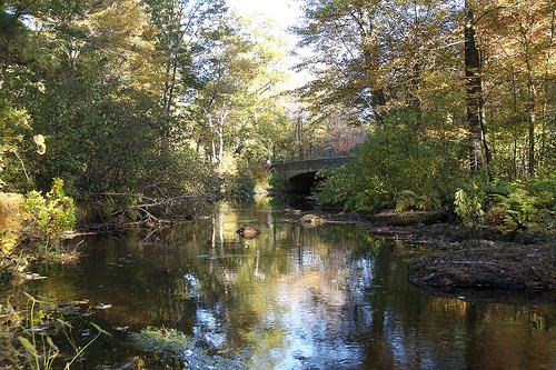 Nissitissit River 