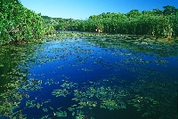 Pamet River