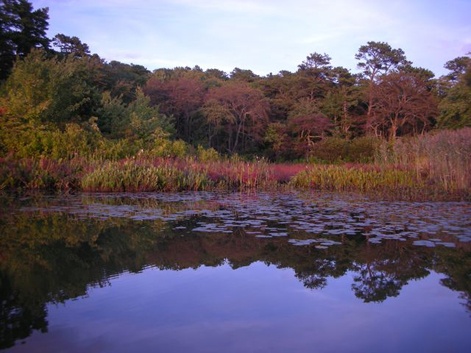 Herring Pond 