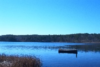 Higgins Pond