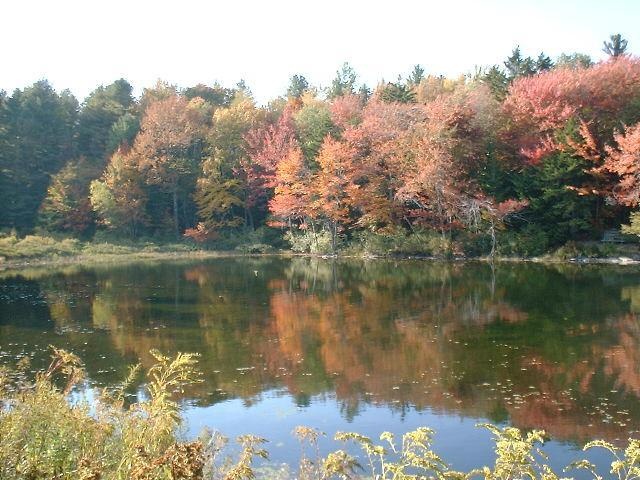 Plainfield Pond 