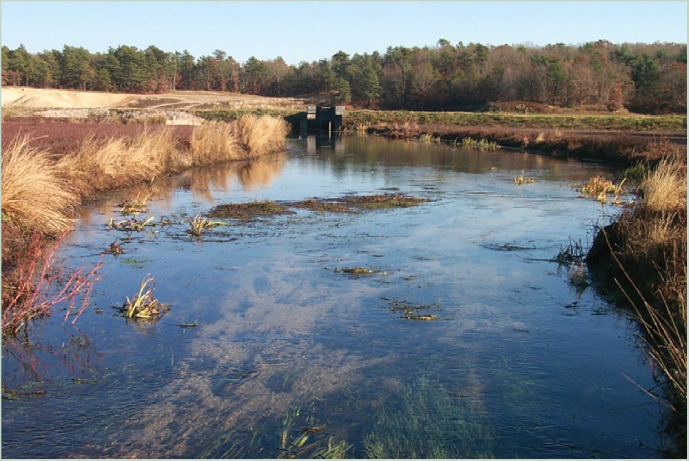 Quashnet River 