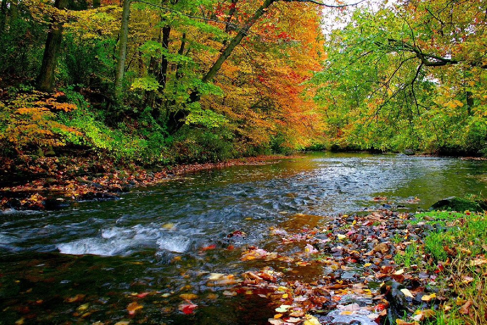 Fort River 
