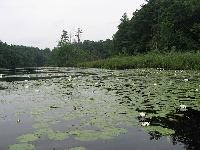 Russell Mill Pond