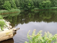 Norwich Pond