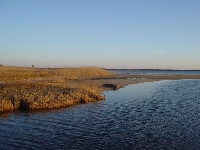 Tisbury Great Pond