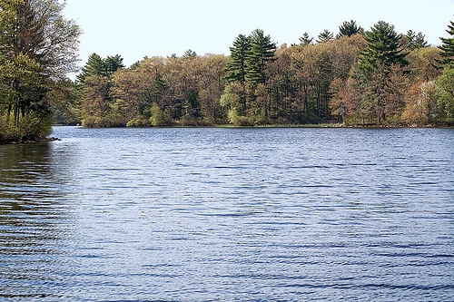 Hopedale Pond 