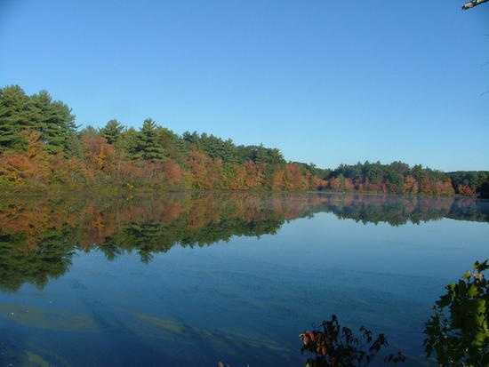 Lake Mirimichi