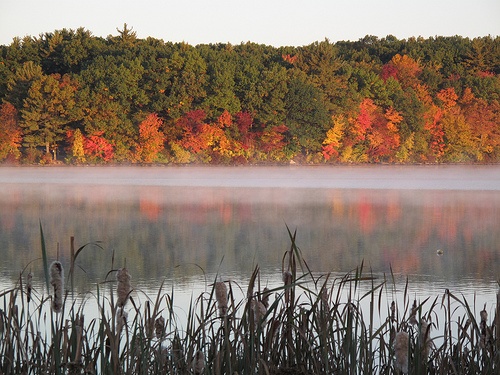 Fort Meadow Reservoir