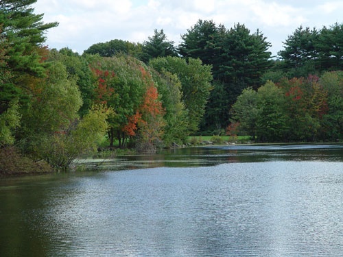 Lackey Dam Pond 