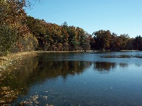 Chickering Pond