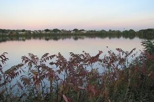 Farm Pond