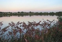 Farm Pond