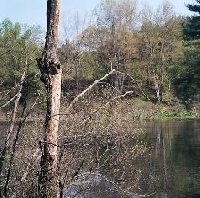 Oxbow Pond