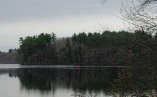 Fort Pond