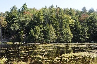 Hallockville Pond