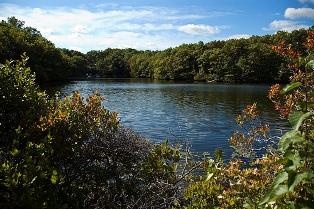 South Meadow Pond