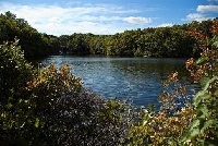 South Meadow Pond