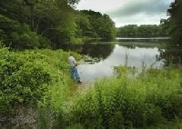 Cushing Pond