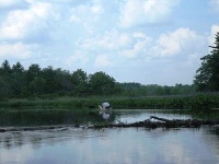 East Branch of Ware River