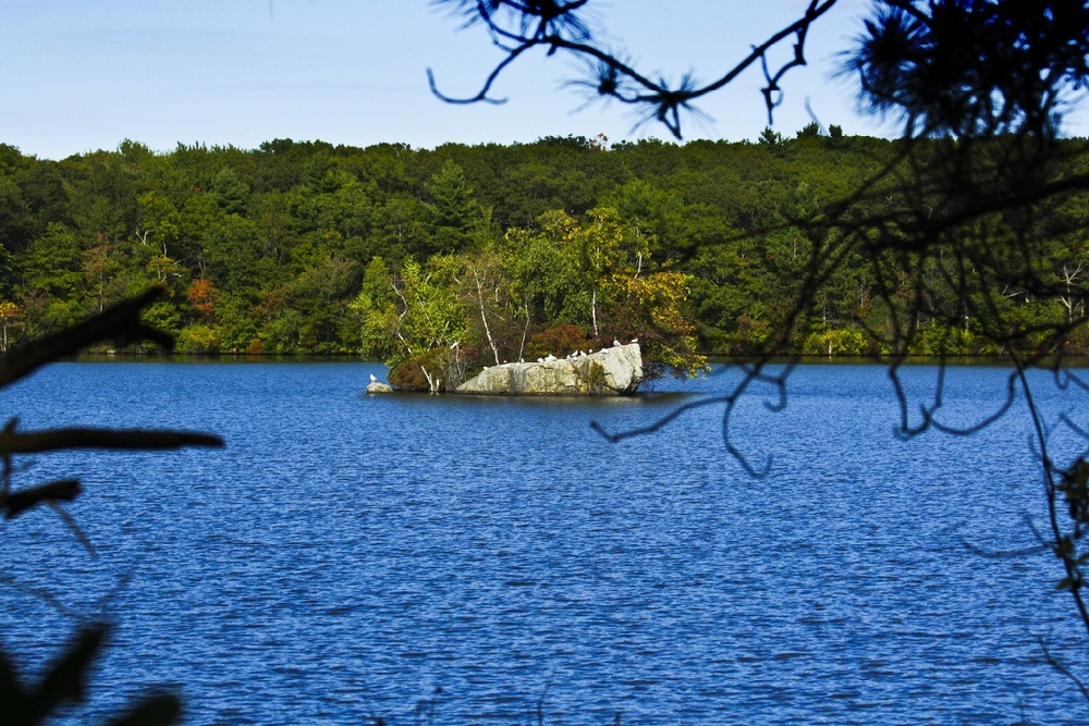 Brockton Reservoir