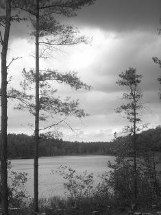 York Lake