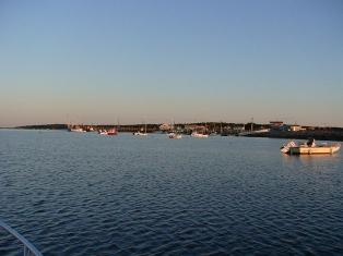 Wellfleet Harbor