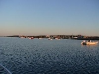 Wellfleet Harbor