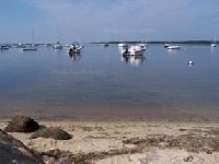 Waquoit Bay