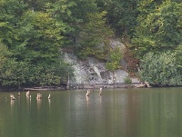 Pulpit Rock Pond