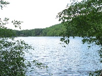 Ashfield Pond