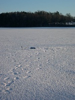 Saturday on the ice Fishing Report