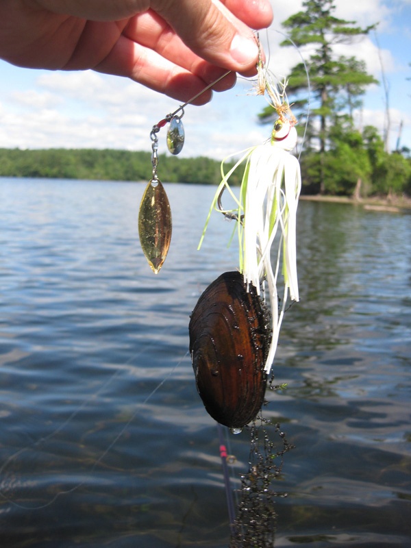 Andover fishing photo 4