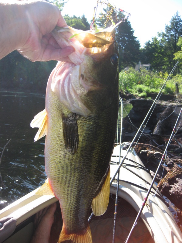 Andover fishing photo 3