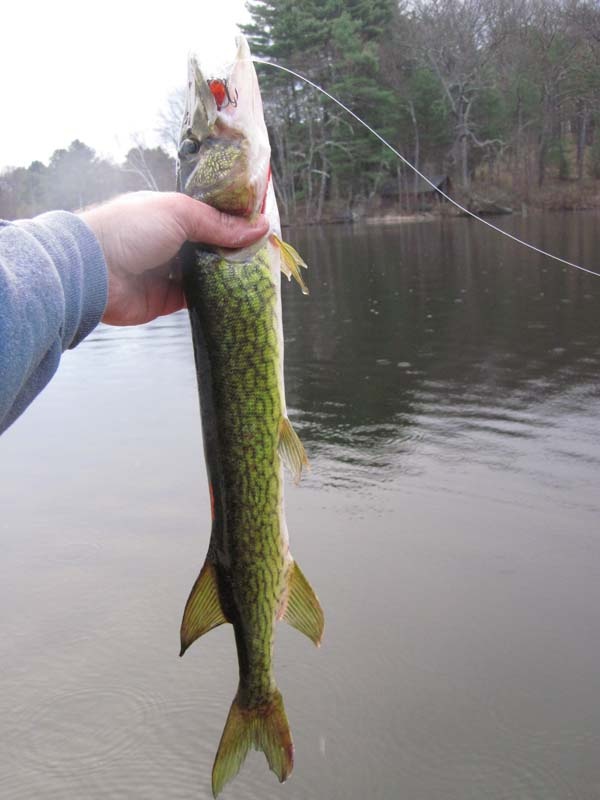 Lexington fishing photo 1