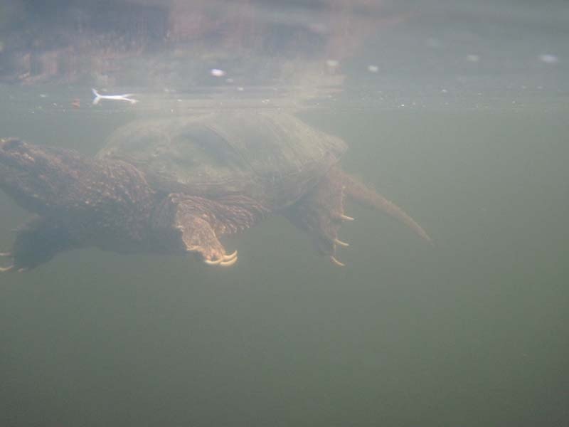 Lexington fishing photo 4