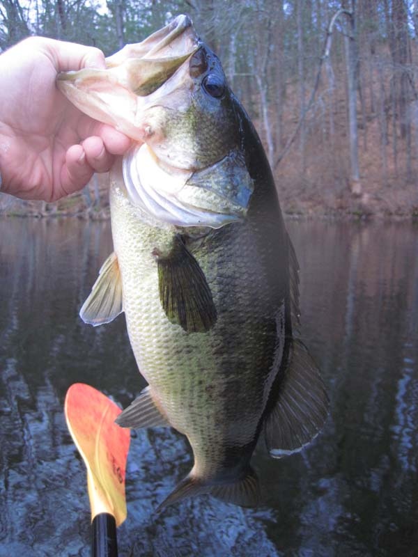 Fishing near Lexington in Middlesex County, Massachusetts - MA Fish Finder