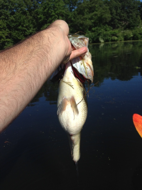 Arlington fishing photo 2