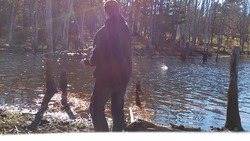 fighting a chain pickerel 