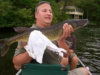 7lb pickerel