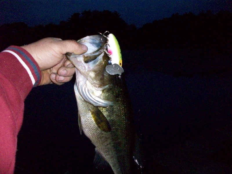 5 am hogg, 3 pounds