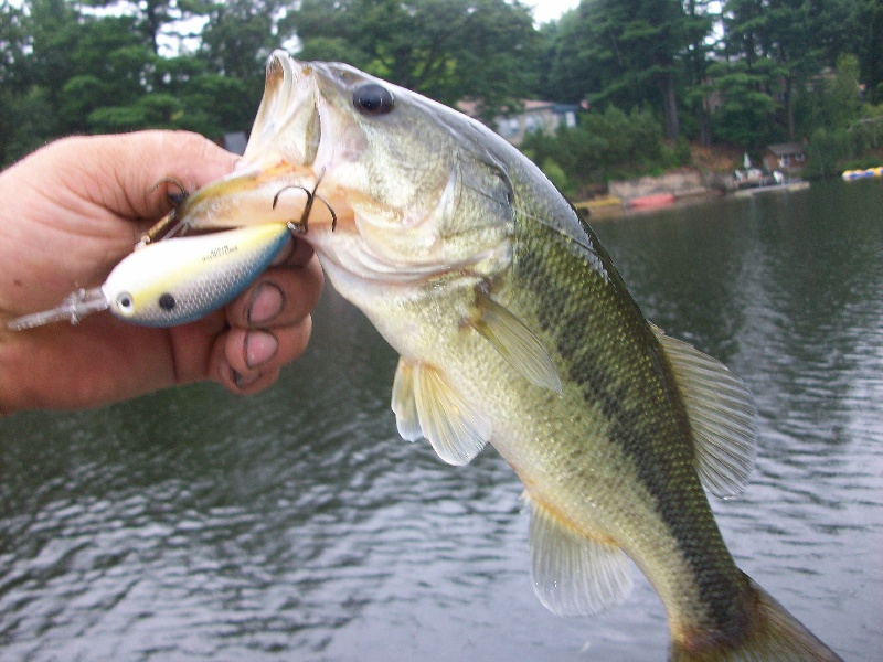 deepwater bass