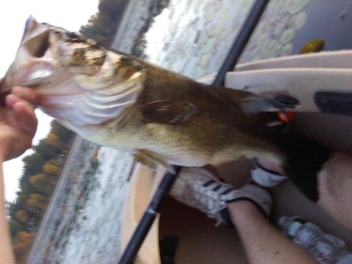 5lber at flanigan