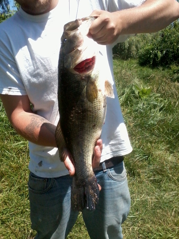 largemouth