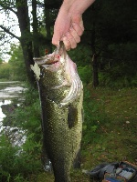 Palmer, MA Fishing Report