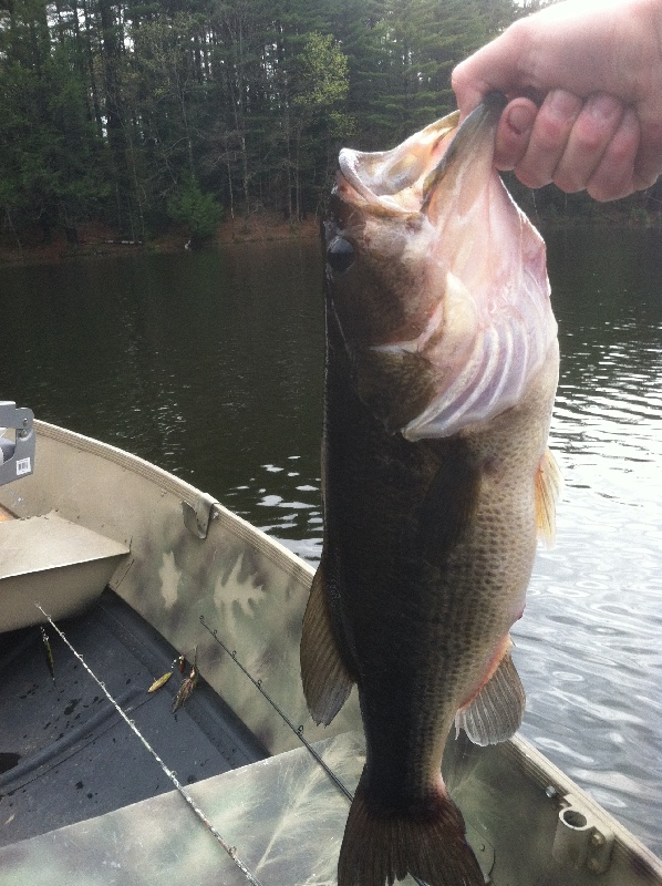 3lb10oz near South Hadley