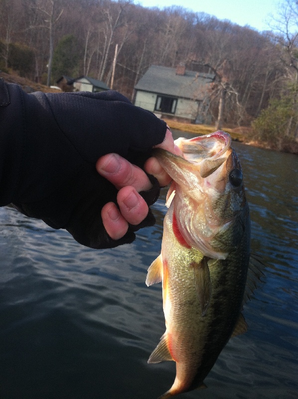 Hampden fishing photo 5